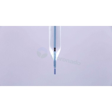 PTCA Semi-Compliant Balloon Dilatation Catheter System