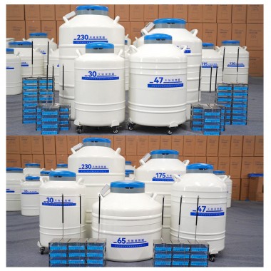 Ghana Liquid Nitrogen Dewar Cell Storage Storage Type