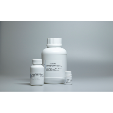 Recombinant carboxypeptidase B