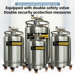 Rwanda-pressurized liquid nitrogen-liquid nitrogen store