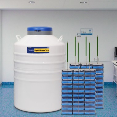 Oman Liquid Nitrogen Storage Dewar Tank Suppliers
