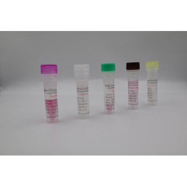 Coving Cov-19 Rapid Test Kit Igg Igm Test Kit