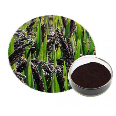 Black rice extract