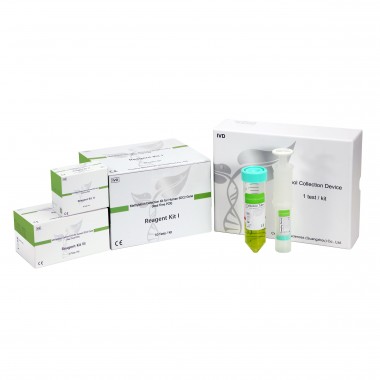 Methylation Detection Kit For Human SDC2 Gene (Real time PCR)