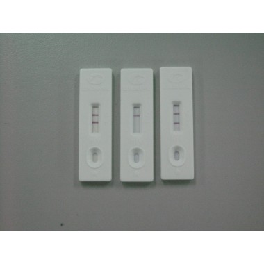 HIV 1+2 Antibody Rapid Test