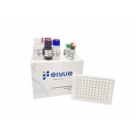 Human SNPH (Syntaphilin) ELISA Kit
