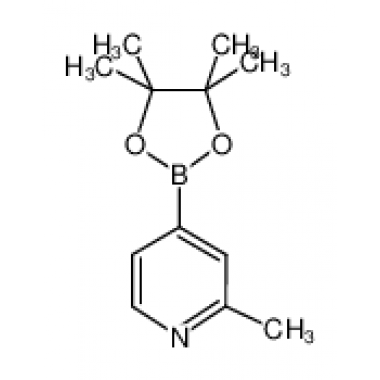 2-METHYLPYRIDINE-4-BORONIC ACID PINACOL ESTER
