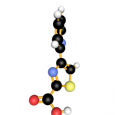 4-(Pyridin-2-yl)thiazole-2-carboxylic acid