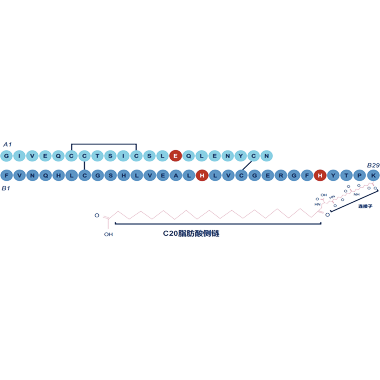 Insulin Icodec