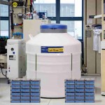 Jordan Liquid Nitrogen Storage Tank Suppliers
