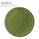 Bulk Buy From China Superfoods Barley Sprout Extracts Barley Grass Powder For Health