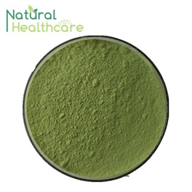 Bulk Buy From China Superfoods Barley Sprout Extracts Barley Grass Powder For Health