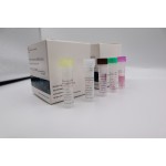 Nucleic Acid Cov-19 Test PCR test