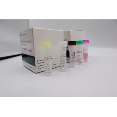 Nucleic Acid Cov-19 Test PCR test