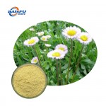 High Purity 99% Breviscapin  CAS 116122-36-2 for Flavor