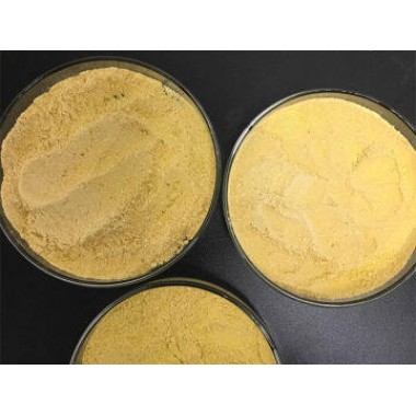 ferrous chloride dihydrate