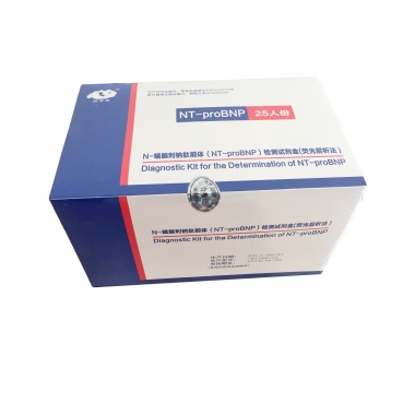 Terminal Pro-B-Type Natriuretic Peptide(NT-proBNP)