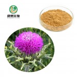 Wholesale Bulk Milk Thistle Extract 80% Silymarin 30% Silybin Liver protect