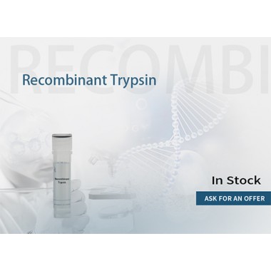 Recombinant Trypsin, powder