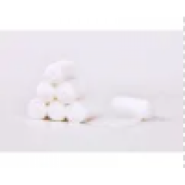 Durable PBT Bandage for Medical Treatment