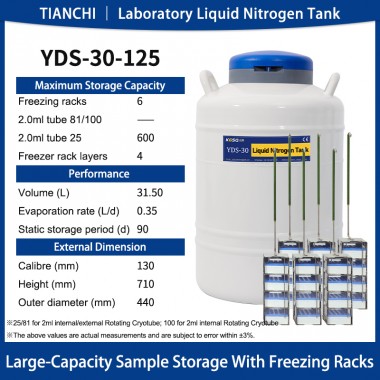 Bhutan Nitrogen Tank Liquid Nitrogen Dewar Supply