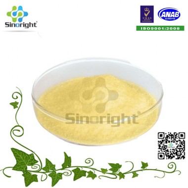 High quality food grade Vitamin B2 powder