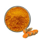 HUPHARMA Curcumin Turmeric Extract