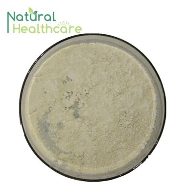 High Quality Centella Asiatica Extract/Gotu Kola Extract with free sample