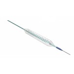 Sirolimus-Eluting Coronary Stent System