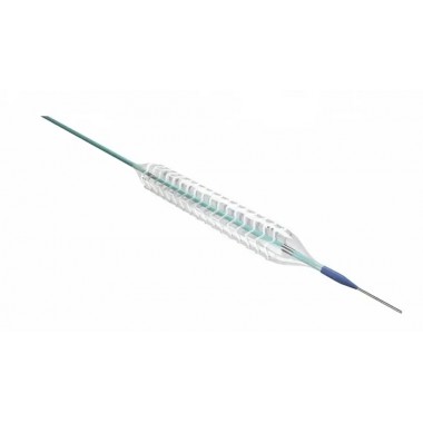 Sirolimus-Eluting Coronary Stent System