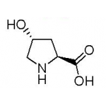 L-Hydroxyproline