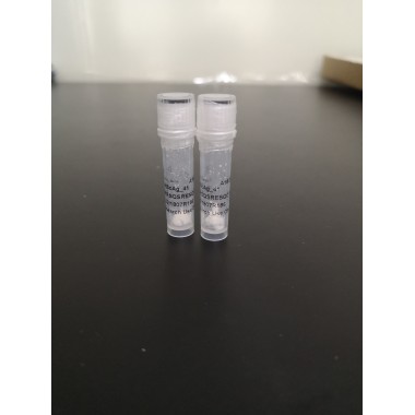 RGD peptide