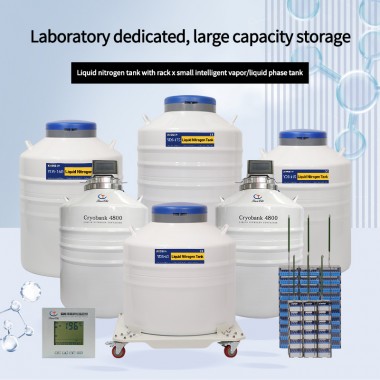 United Arab Emirates-cryogenic cell storage-dewar trolley