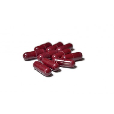 Health Care Product American Ginseng Hard Capsule Anti Fatigue OEM
