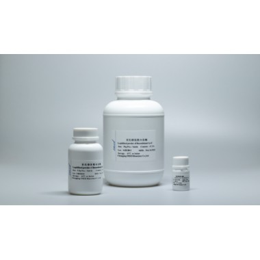 Recombinant lysyl endopeptidase