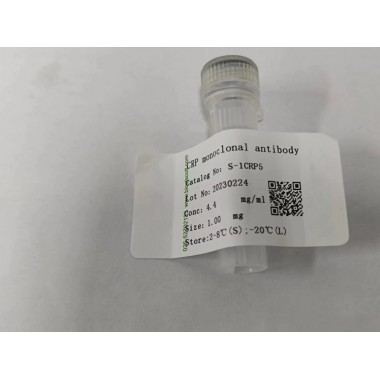 Mouse Anti CRP monoclonal antibody
