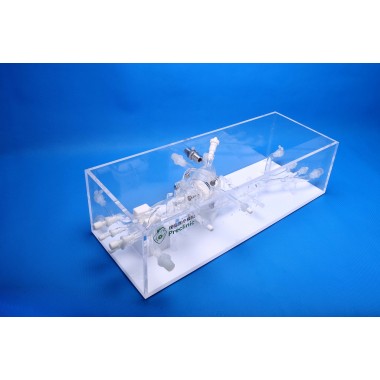 TAVR Simulation Model