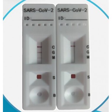 SARS-CoV-2 IgG/IgM Rapid Test Devices