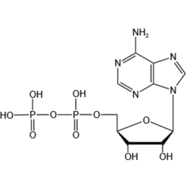 Adenosine 5'-diphosphate(ADP-H)