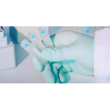 CD FFPE DNA Kit