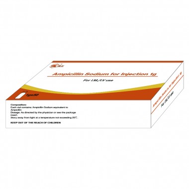Ampicillin Sodium for Injection 0.5g