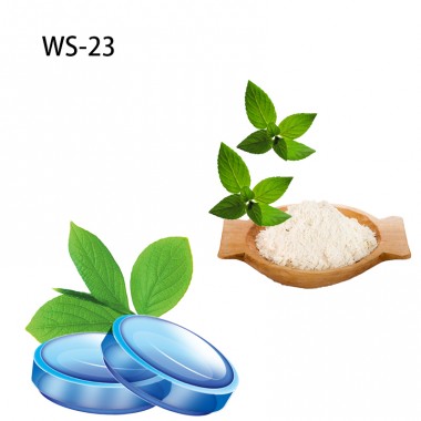 Taima hot selling Liquid Koolada Cooling agent ws-23 for Vaping juice