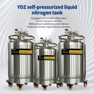 Cyprus Liquid Nitrogen Dewar Pressure Cryogenic Canister Stainless Steel