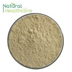 ISO 9001Factory Resveratrol 50/Resveratrol/Polygonum Cuspidatum Extract/Resveratrol Price