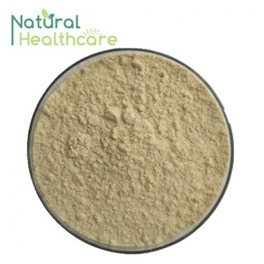 ISO 9001Factory Resveratrol 50/Resveratrol/Polygonum Cuspidatum Extract/Resveratrol Price