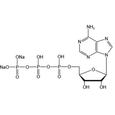 Adenosine 5'-triphosphate disodium salt(ATP-Na2)