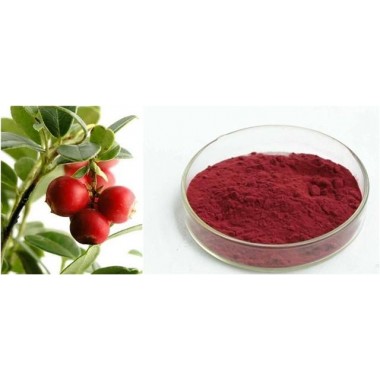 Cranberry extract
