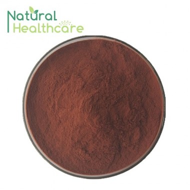 ISO Factory Supply Grape Seed Extract OPC 95%