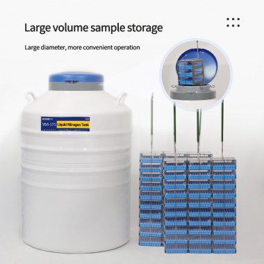 Azerbaijan-liquid nitrogen cell storage tank-dewar carts