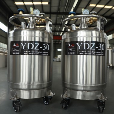 Chad Liquid Nitrogen Dewar Pressure Sale